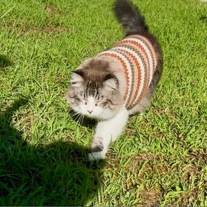 Striped Brown and Cream Pet Sweater